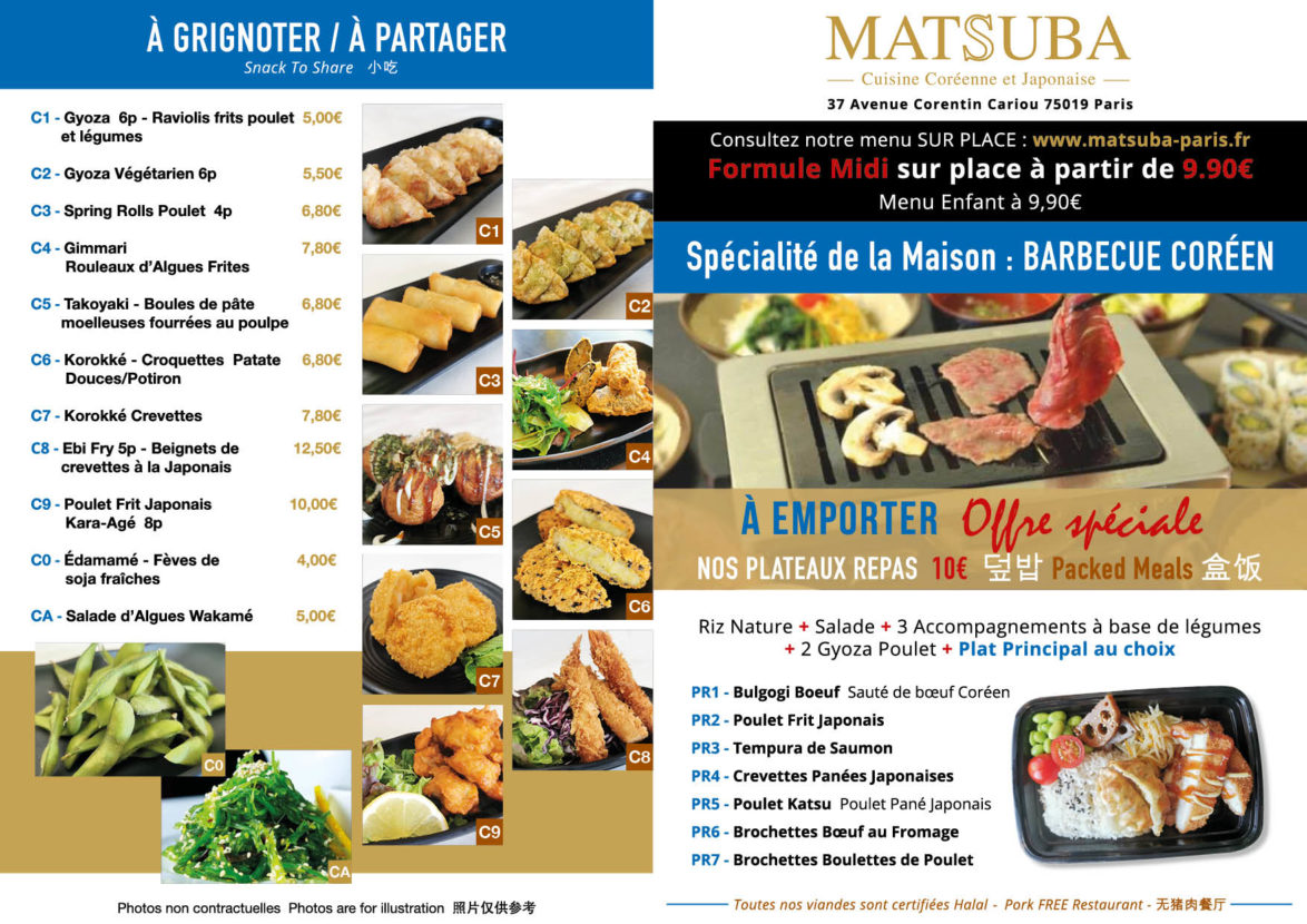 PROSPECTUS-MATSUBA-01
